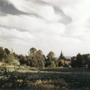 looking down the Meadow to the Blaksley Library