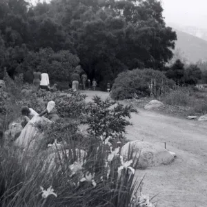Sunday visitors in the Meadow, 1952
