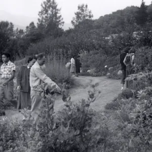 Sunday visitors in the Meadow, 1952
