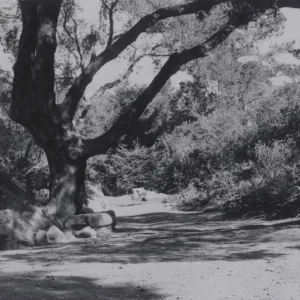 Arroyo path