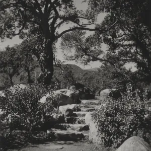 stone steps at the Meadow Oaks