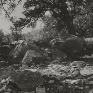 The Mound, 'Rocks where the pool is to be'