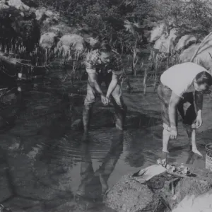 cleaning the fishpond