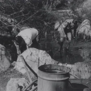 cleaning the fishpond