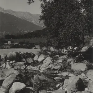 Pond at base of lower Meadow