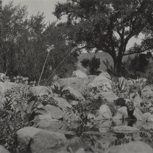 historic Meadow pool