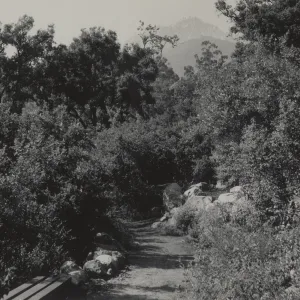 Campbell Trail