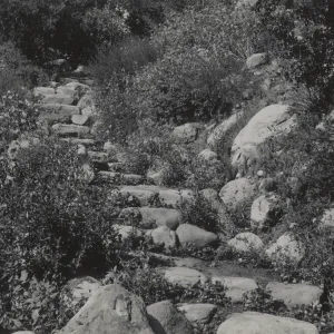 Stone steps from Meadow Oaks to Campbell Trail