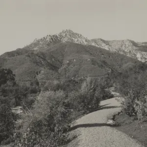 Foot Hill Trail, glimpse of Buckwheat Trail on left