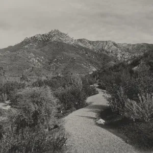 Foothill Trail