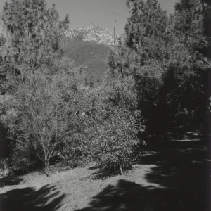 Porter Trail