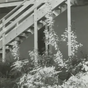 staircase, East Wing annex of the Blaksley Library