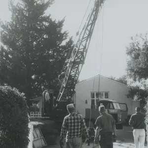 North Wing construction, tree removal with crane