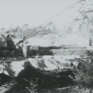 crane removal of tree at North Wing construction site