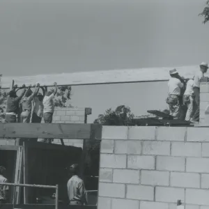 Herbarium construction