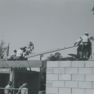 Herbarium construction