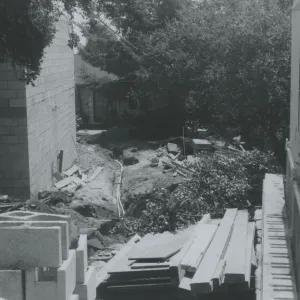 Herbarium construction looking south to cottage