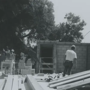 Herbarium construction