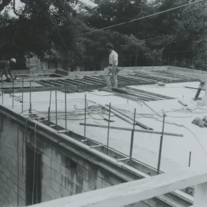 Herbarium construction taken from library