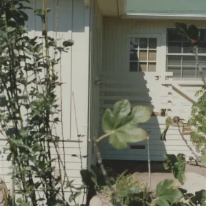 Cottage and garden