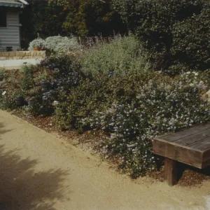 Home Demonstration Garden