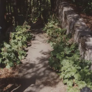 Home Demonstration Garden