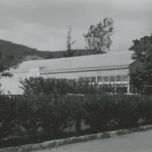 Lath House