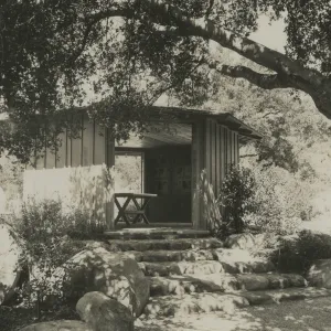 Information Kiosk (Coastal Live Oak)