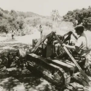 Garden Entrance, construction 1975