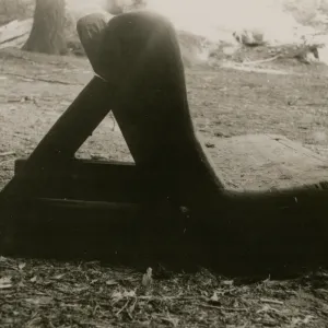 redwood bench prototype, Yosemite