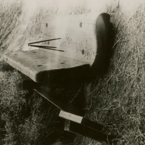 redwood bench prototype, Yosemite