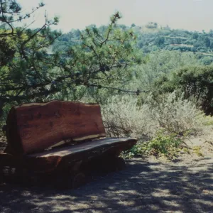 Louise Archbald Bench, Porter Trail
