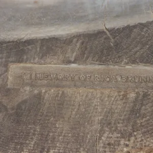 Rica Brunner Bench, 1977, Arroyo Section