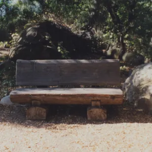 Robert and Clara Canterbury Bench, 1998, Meadow
