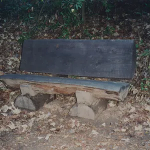 Warren and Shirley Coleman Bench, 1995, Canyon
