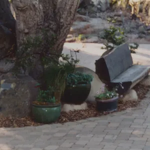 Ralph D. Cornell Bench, (with side bench removed)