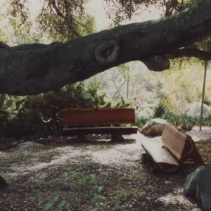 Williams Bench (left) and Davis Bench (right)