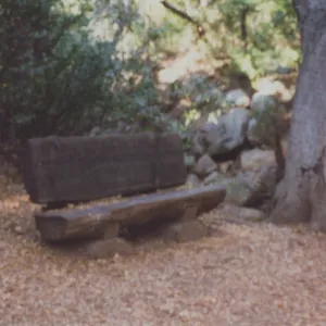 Ruth Emanuel Bench, 1994