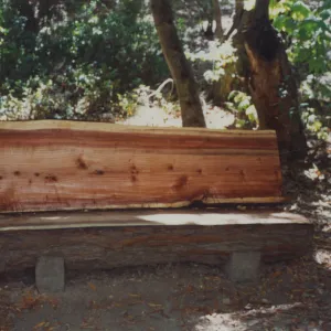 Ford Family Bench, 1990