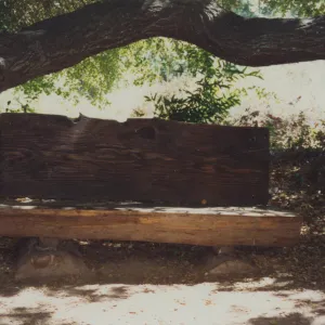 Ellen Hansen Bench, 1982