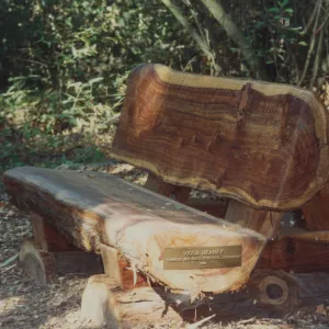 Viola Heaney Bench, 1992
