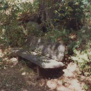 Ruth Holbrook Bench, 1974
