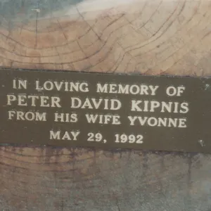 Peter David Kipnis Bench, 1992