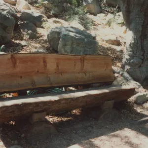 Peter David Kipnis Bench, 1992
