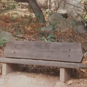 Paul V. Lane Bench, 1972
