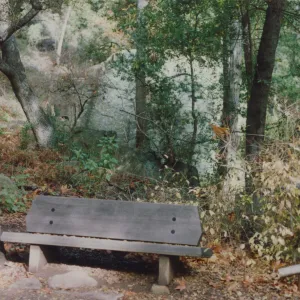 Paul V. Lane Bench, 1972