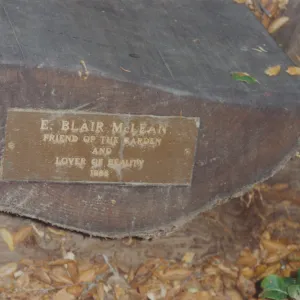 E. Blair McLean Bench, 1990, Manzanita Section