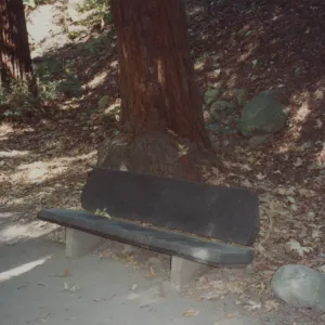 The Louise Nobs Bench, 1972
