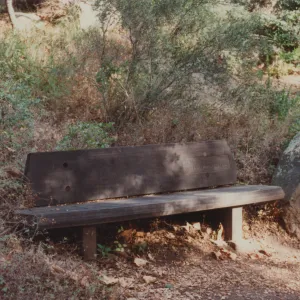 William F. Qatman Bench, 1969, Campbell Trail