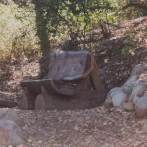 Wilhelm G. Overeem Bench, 2001, Island Section